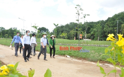 Chủ tịch UBND tỉnh kiểm tra công tác chuẩn bị khánh thành công viên Suối Cam
